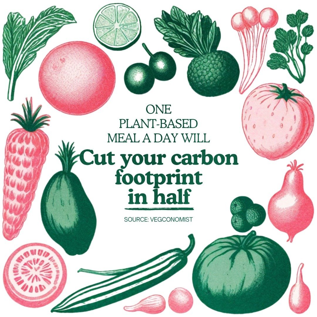 Did you know that eating just one plant-based meal per day can cut your carbon emissions by a whopping 40%? 🌱 

That's a huge impact we can all make with a small, sustainable change to our diets. By swapping out meat and dairy for delicious plant-ba
