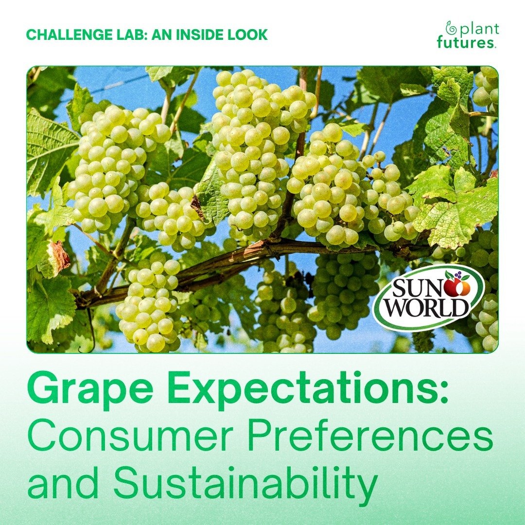 🌱 Delving deep into consumer preferences with Plant Futures Challenge Lab x @sunworld_fruit! 

Over 150 participants embarked on a flavorful journey in our blind taste test, uncovering the juicy, crispy, and sweet grape attributes favored by Gen Z a