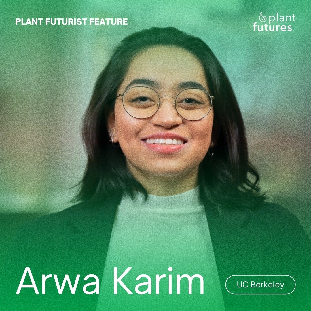 🌱 Introducing Arwa Karim (@arwakarim_), a UC Berkeley student using business and data to drive sustainable change in the food system 

&quot;Joining the Plant Futures Challenge Lab felt like a natural step for me, blending my passion for business an