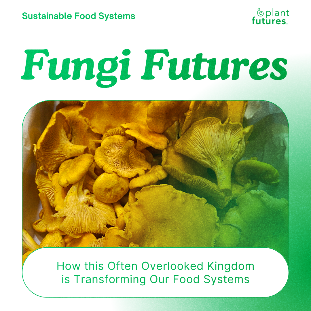 Fungi Futures