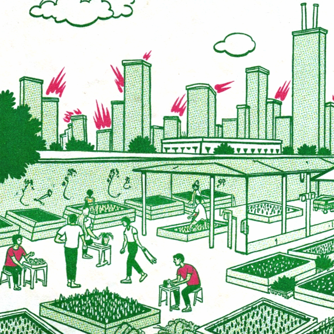 Rethinking Food in Our Cities: Why Urban Food Systems Are Essential