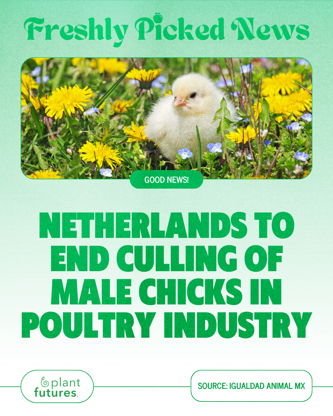 Freshly-Picked News - March 2025