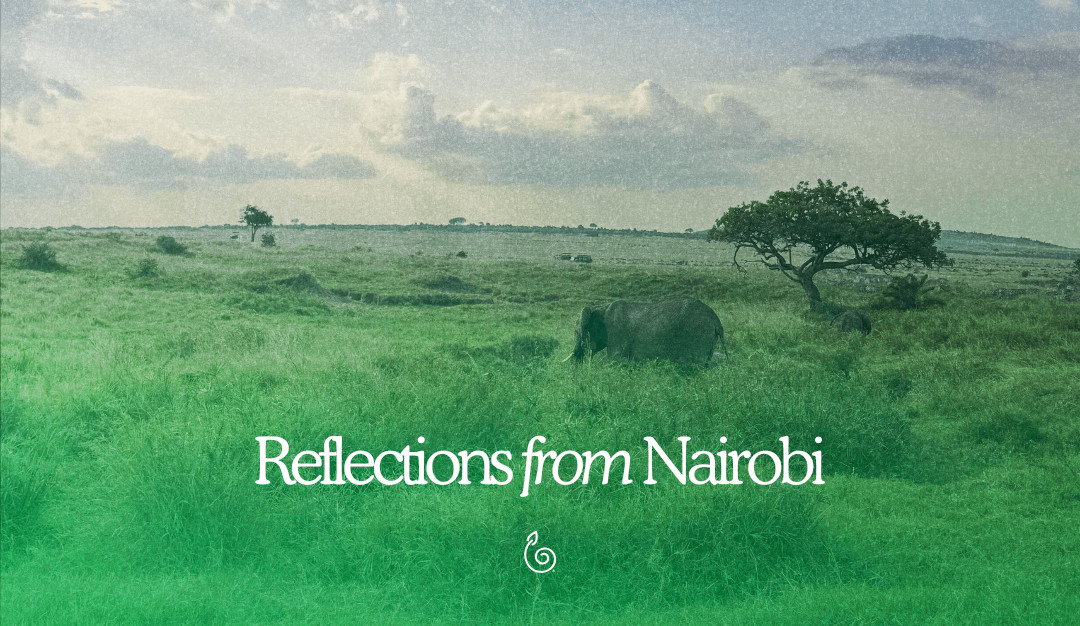 Reflections from Nairobi