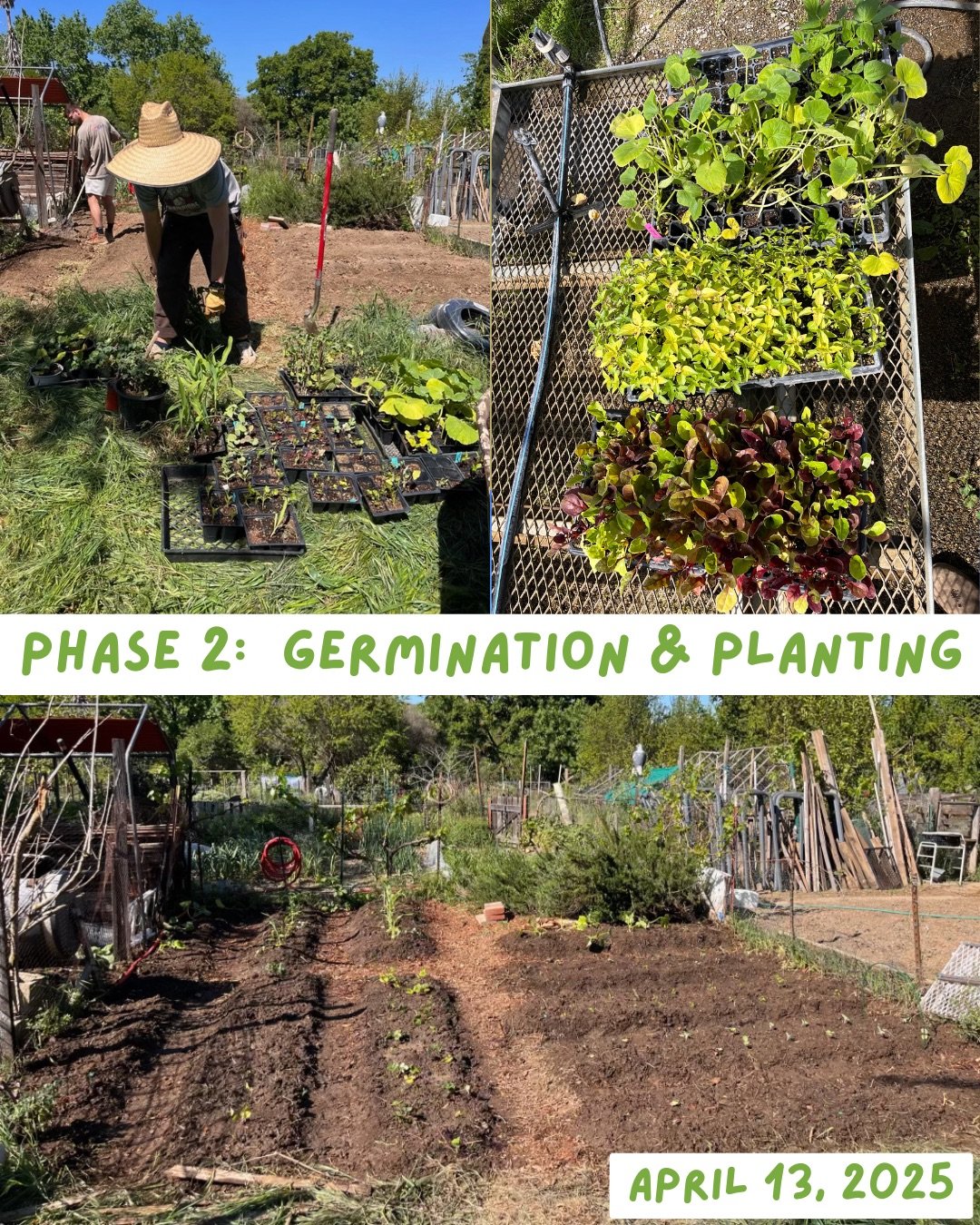 PF Garden Plot Post.zip - 3.JPG