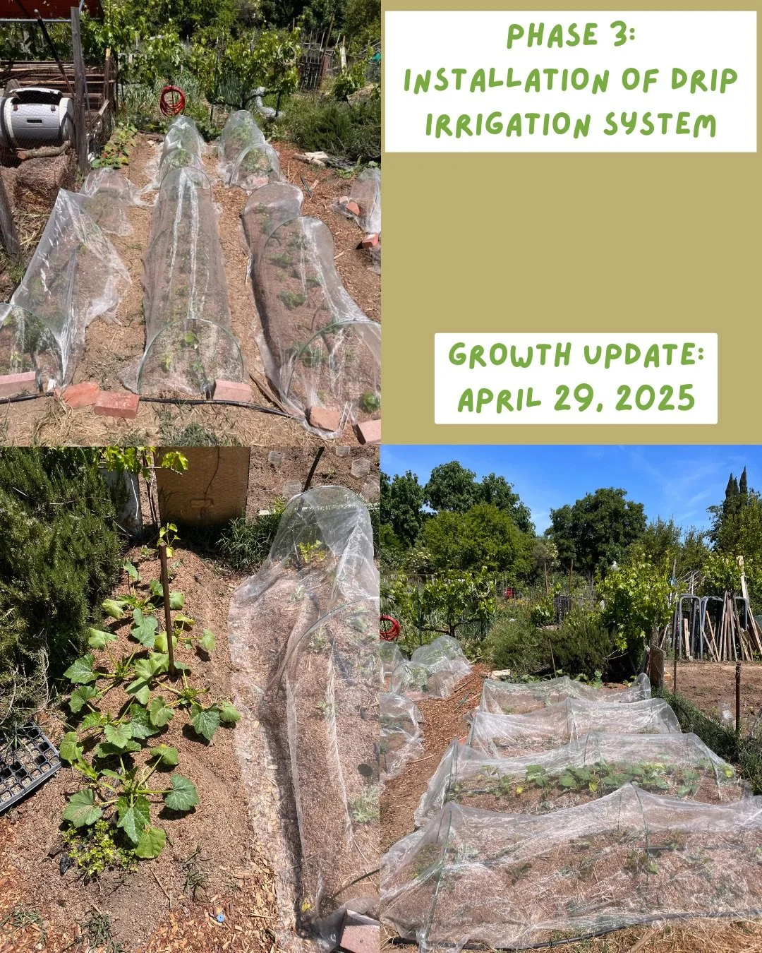 PF Garden Plot Post.zip - 4.JPG