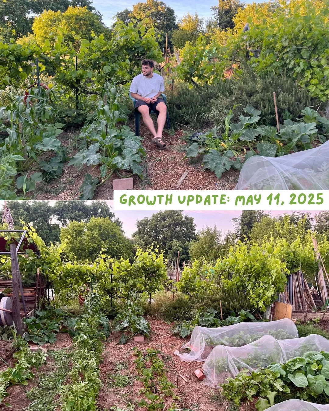 PF Garden Plot Post.zip - 5.JPG