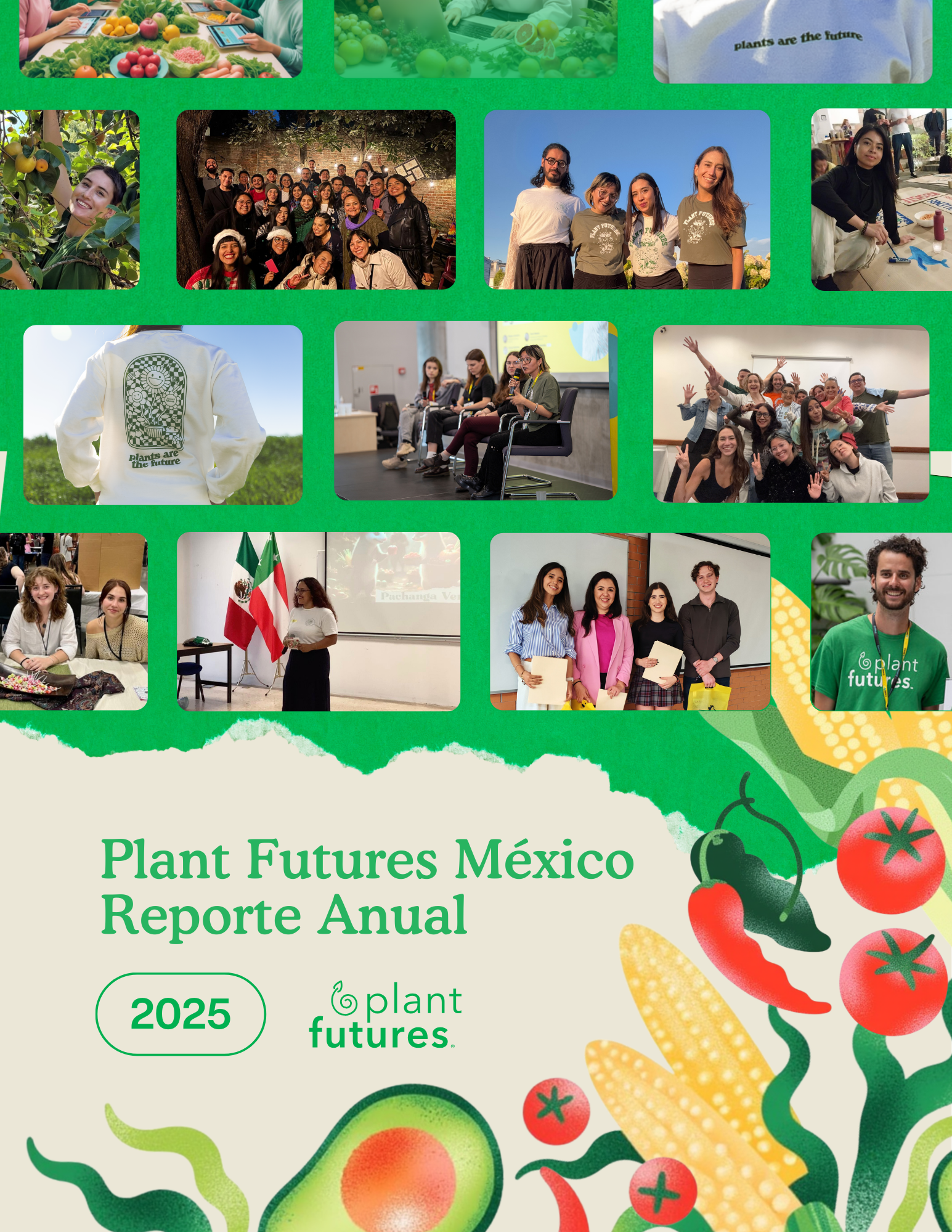 2025 Mexico Impact Report