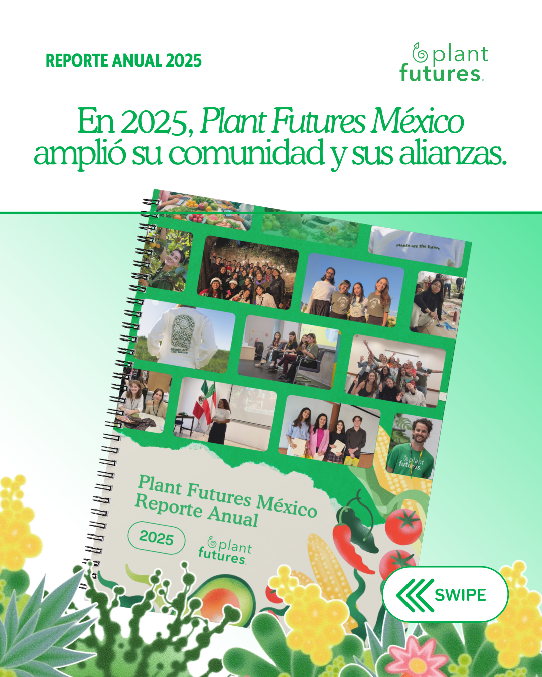 Presentamos el Informe de Impacto México 2025