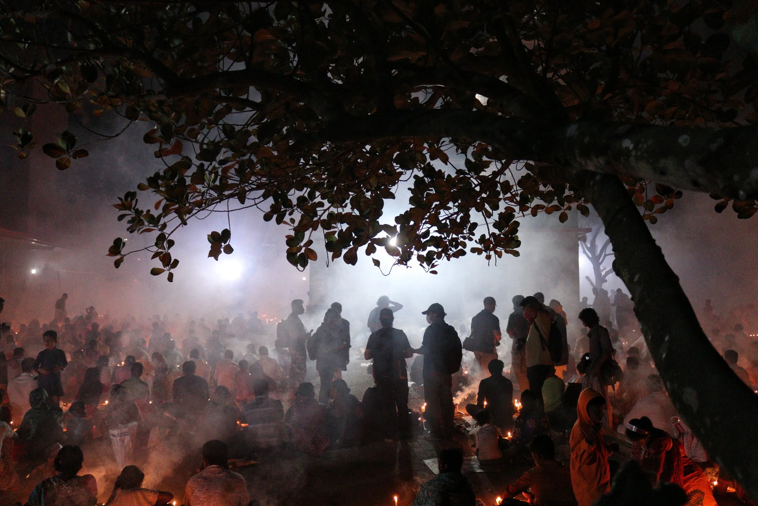 The Forest Already Knows: Sustainability Is More Fun Together