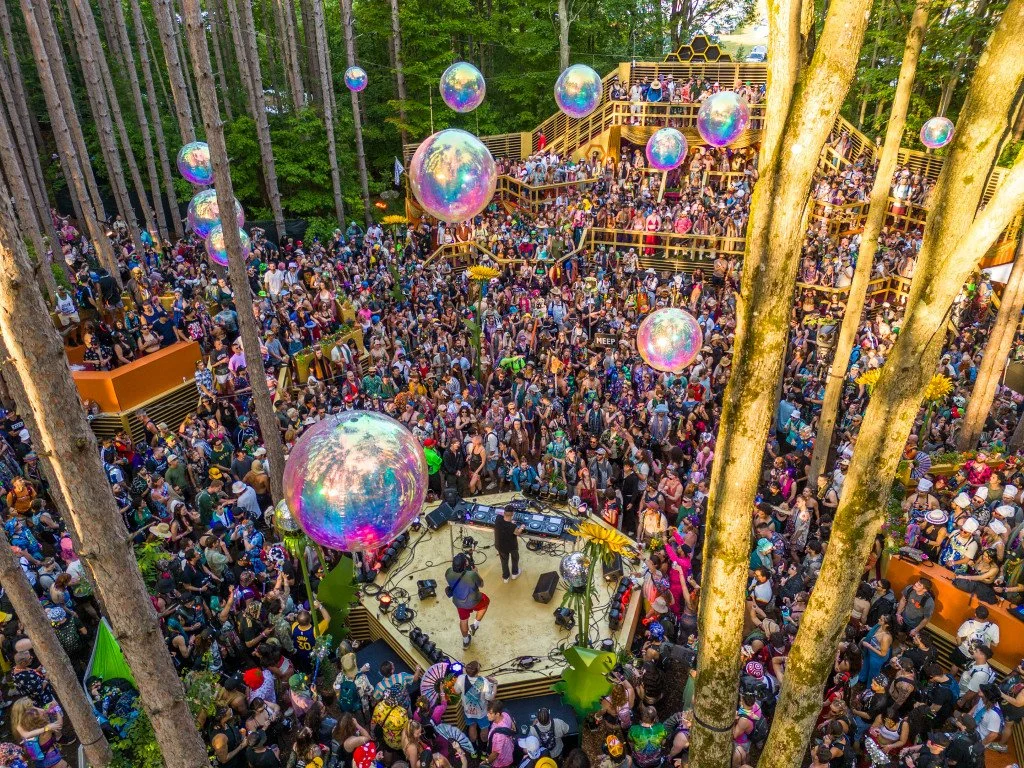 The Forest Already Knows: Sustainability Is More Fun Together