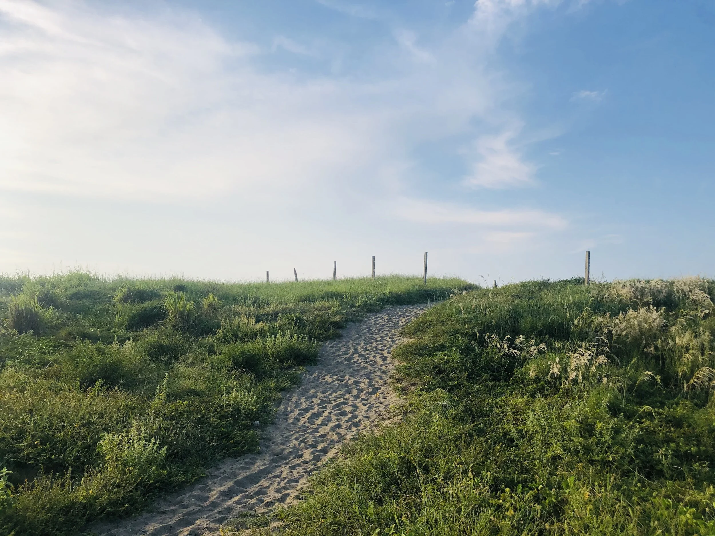 Jasmine Tea: The Leak And The Path Forward - m6ob2c8