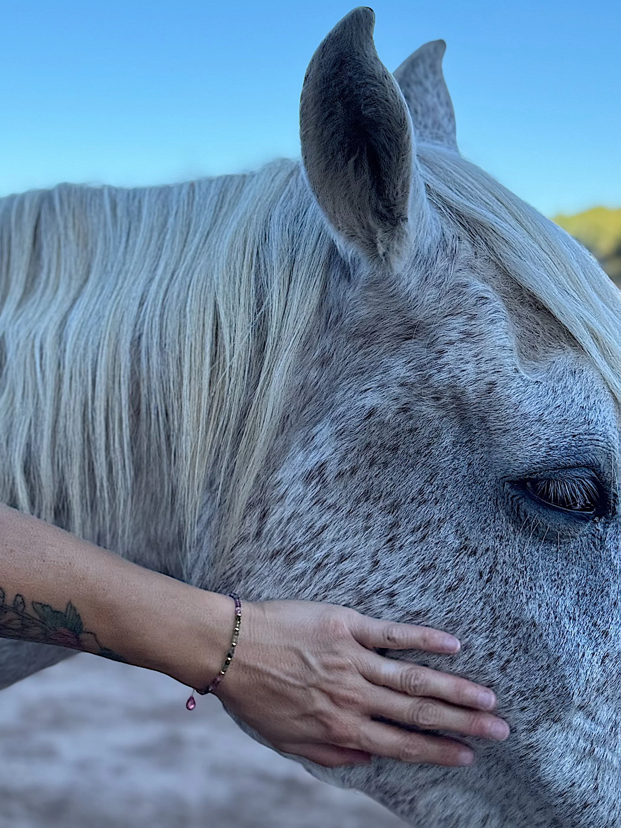 Ways to Nurture Yourself Using Color and Gemstones in the Year of the Fire Horse