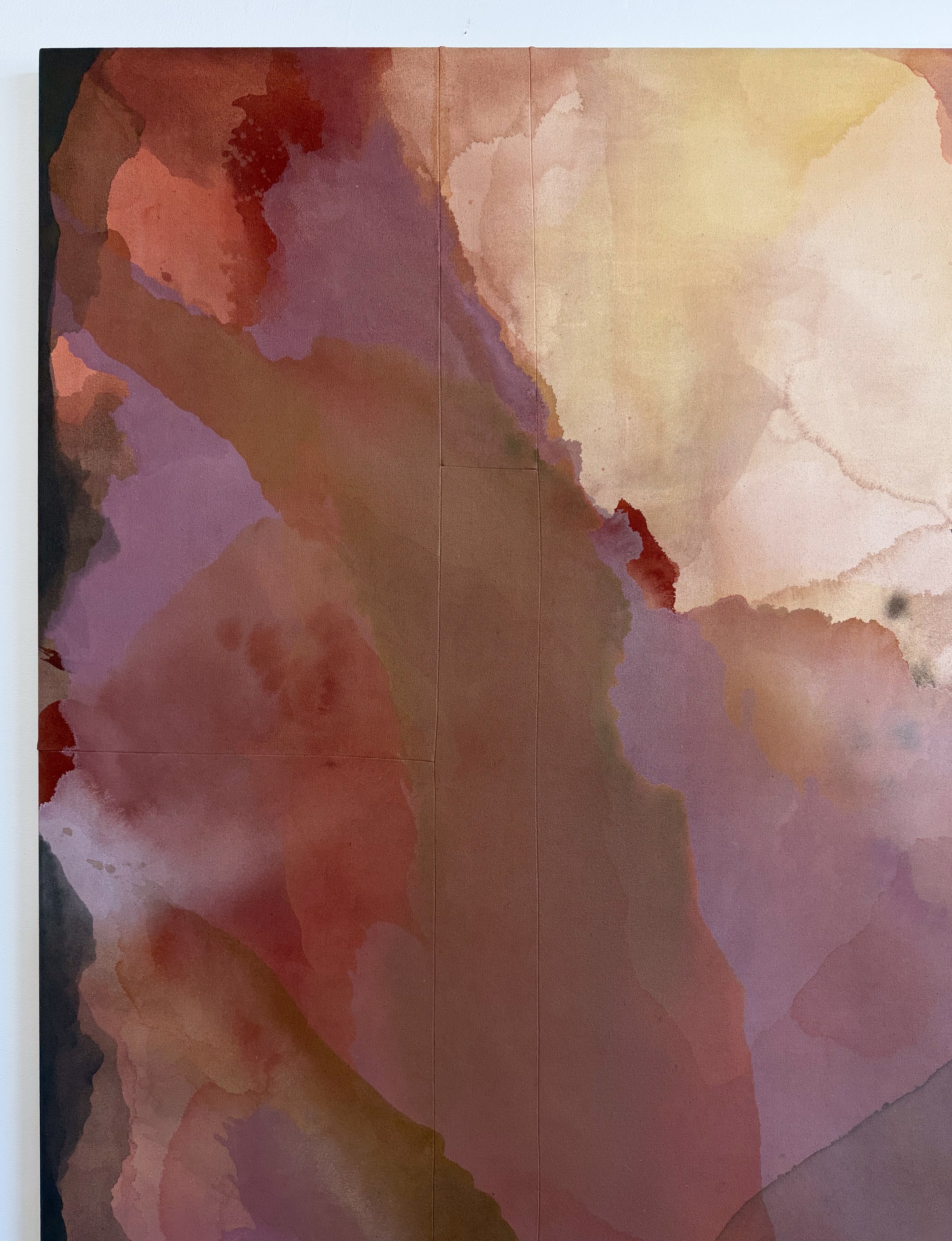 COLOR FIELD.jpg