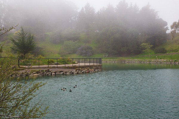 Flashback Friday: The Other Park John McLaren Built