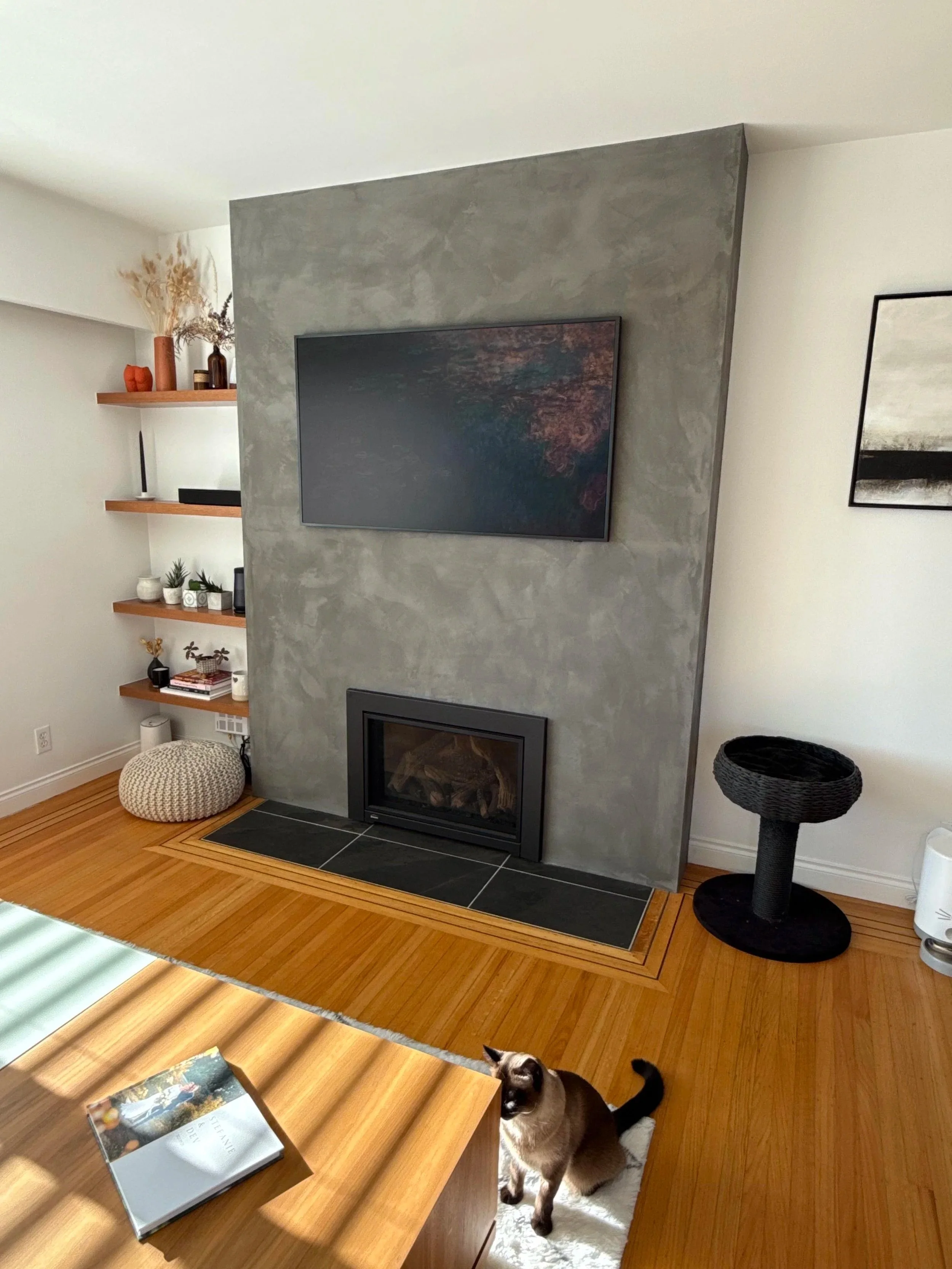 10th Street East Fireplace Remodel