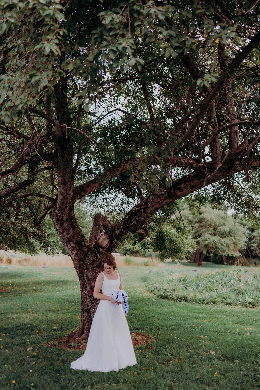 Tara Lynn Photography