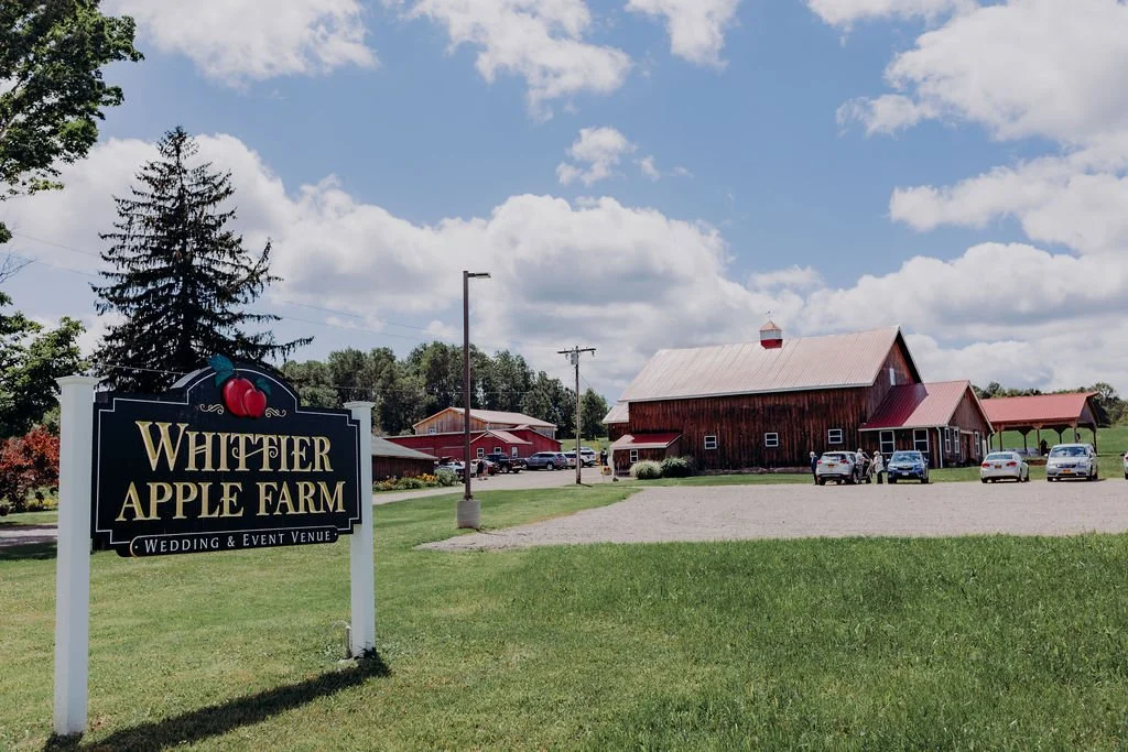 Tara Lynn Photography