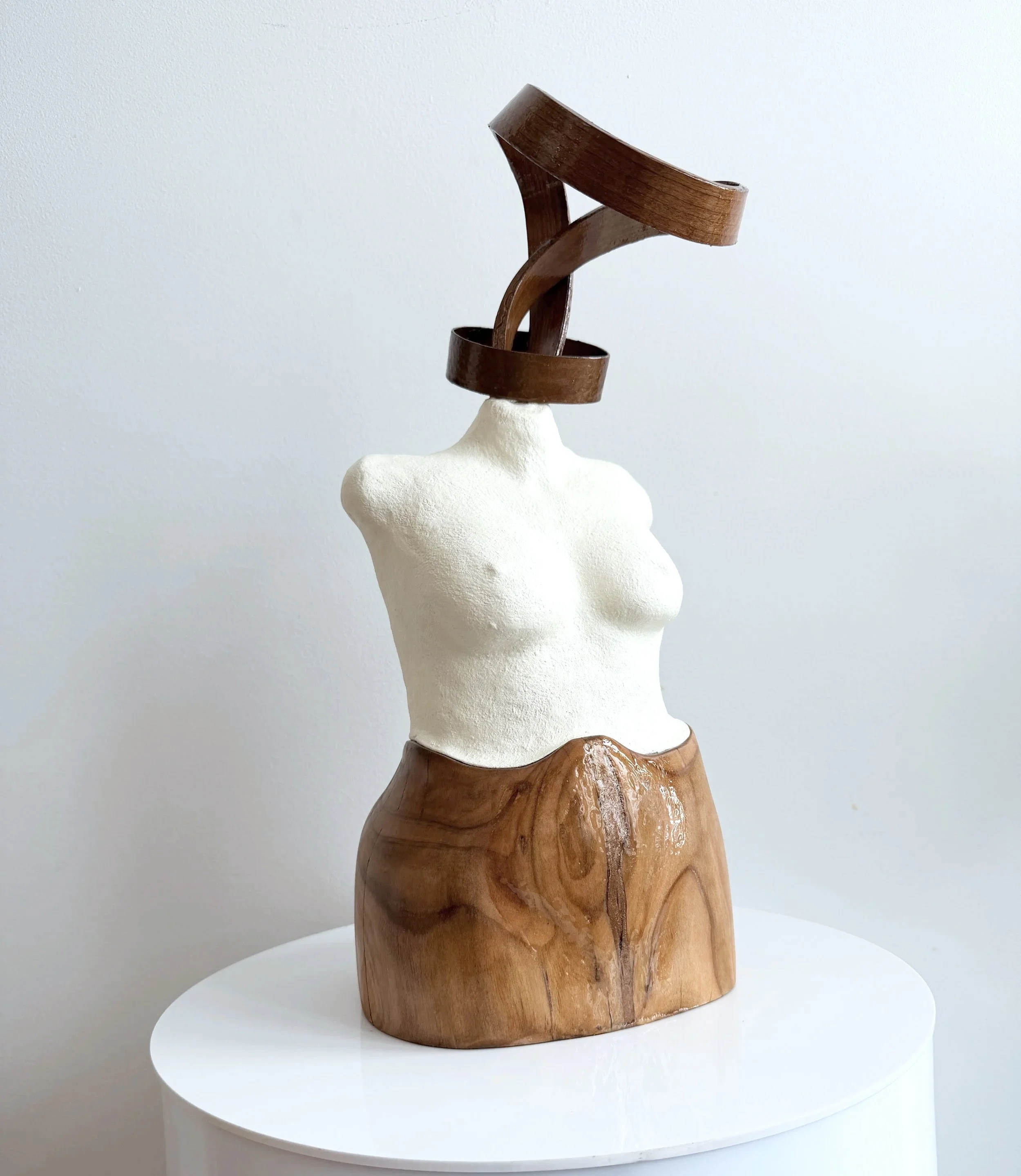 Whirlwind

Cherrywood from this survivor's backyard carved and connected to her honoured form before a mastectomy & reconstruction. The pieces reflects her home, her heart and her work. This vibrant and intelligent woman, mother and practitioner is a