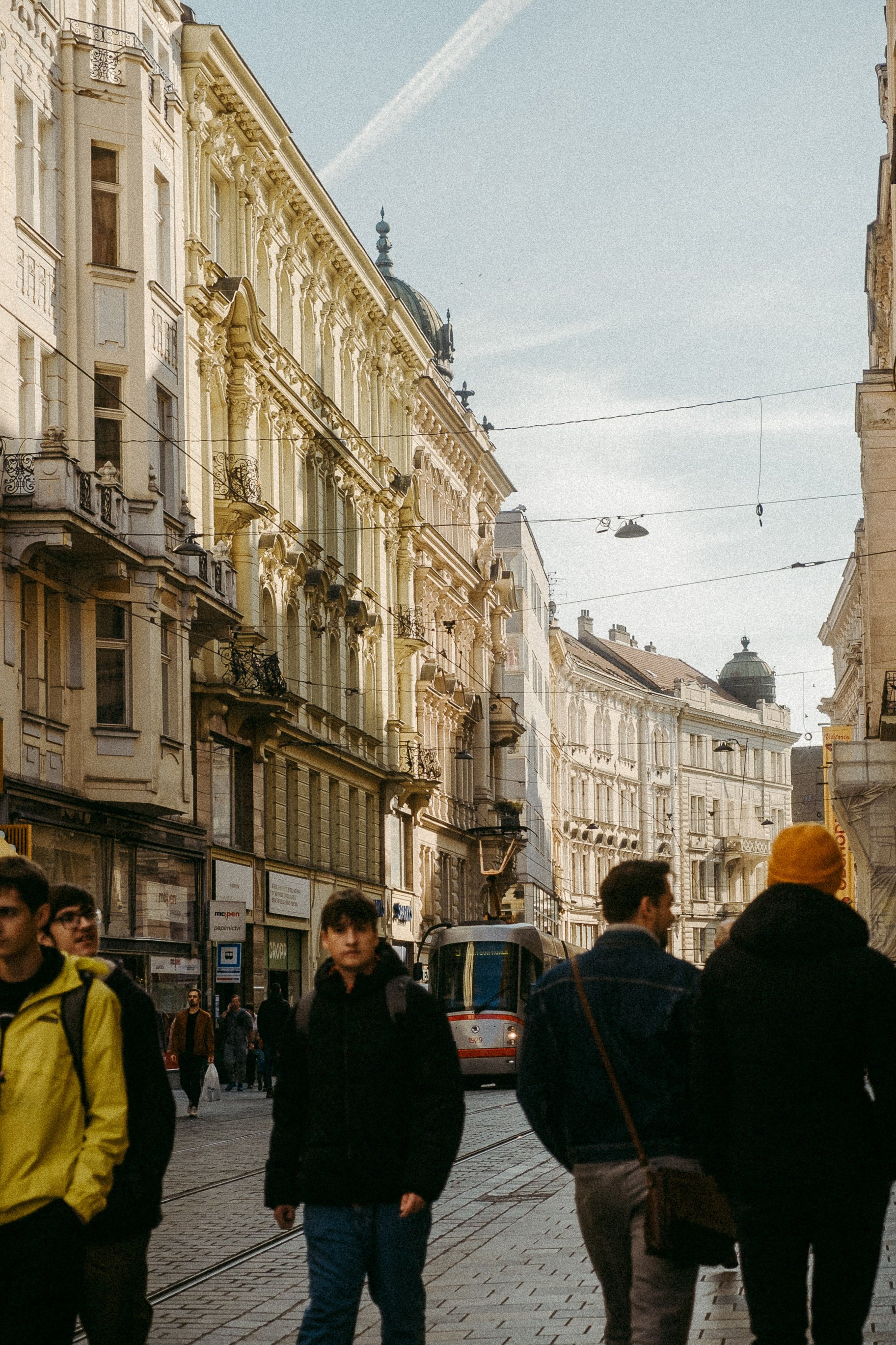 20241107_sehnsucht for galleryDSCF4463_22.jpg