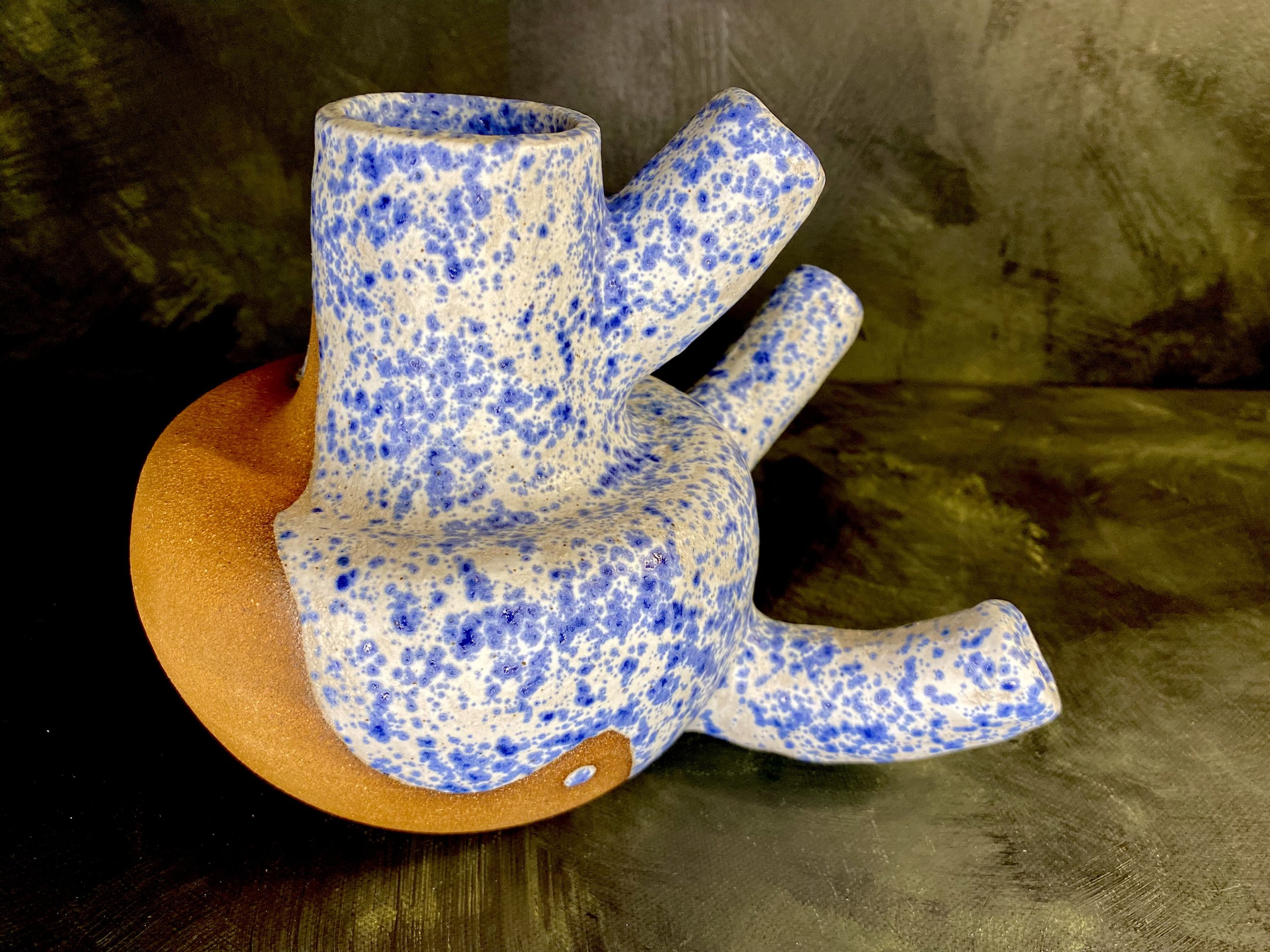 IMG_7098.jpg
