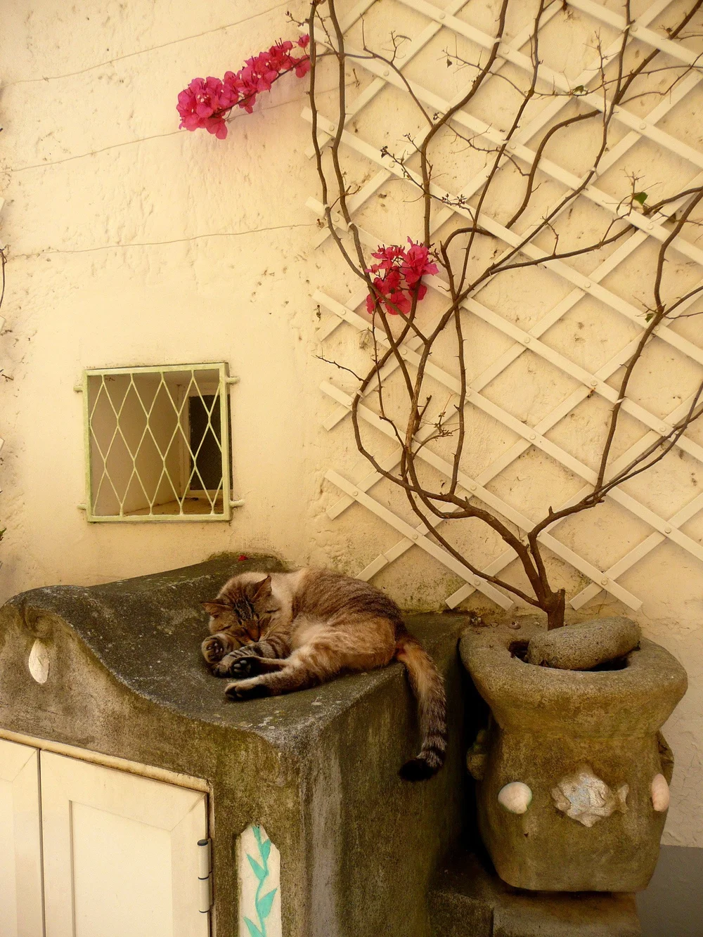Photography In Amalfi Coast By Susan Knof Photo Inspiration