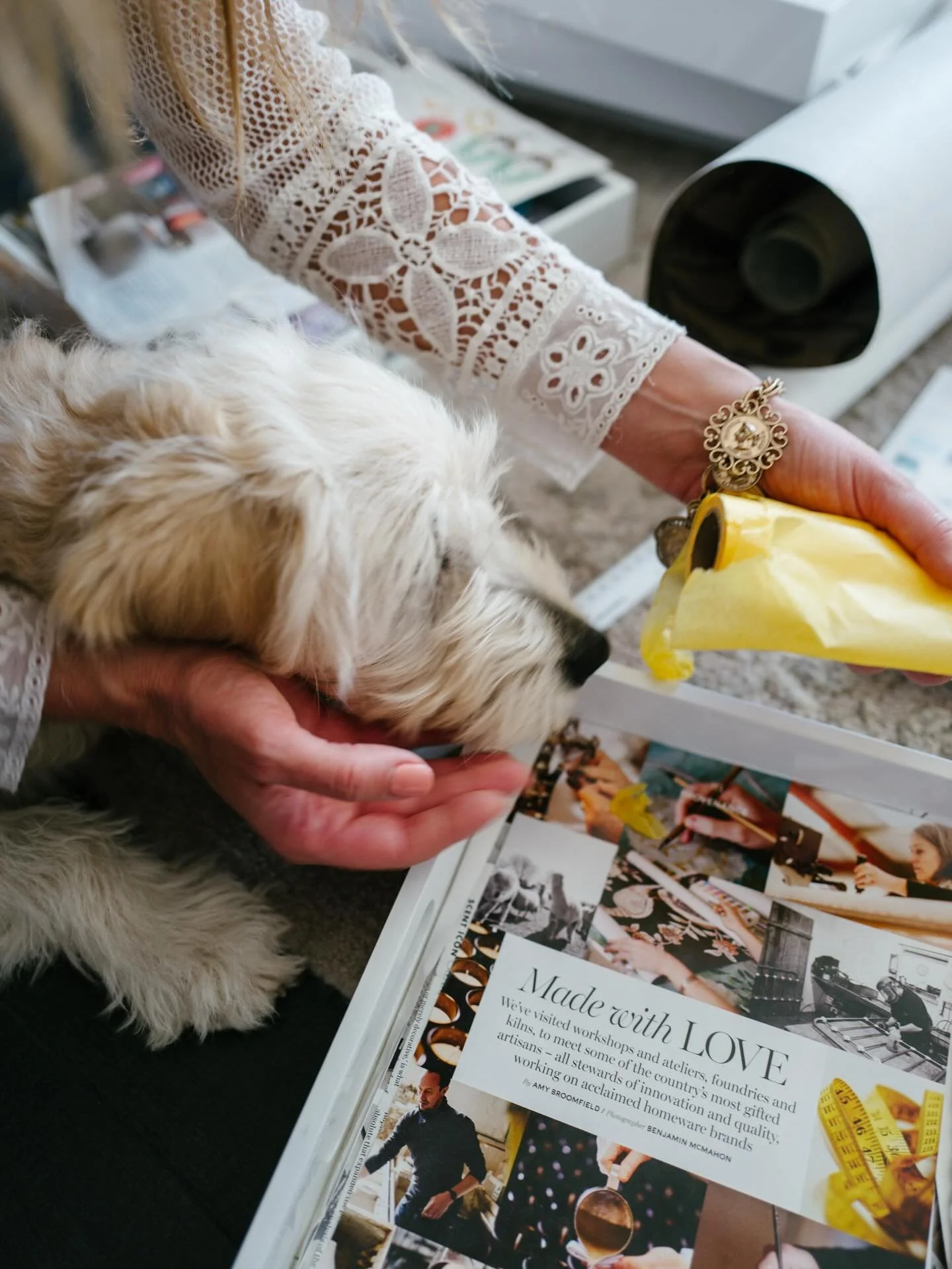 PAWFECT 🐾 | Putting the final touches on every project. Charlie Rae always has the final say! @knofdesign