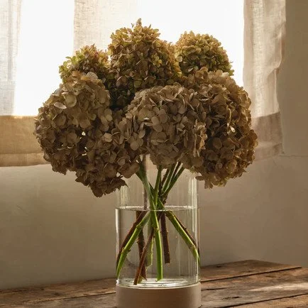 Dried hydrangea blooms arranged in a clear cylindrical glass vase on a rustic wooden table beside a softly lit linen-curtained window.