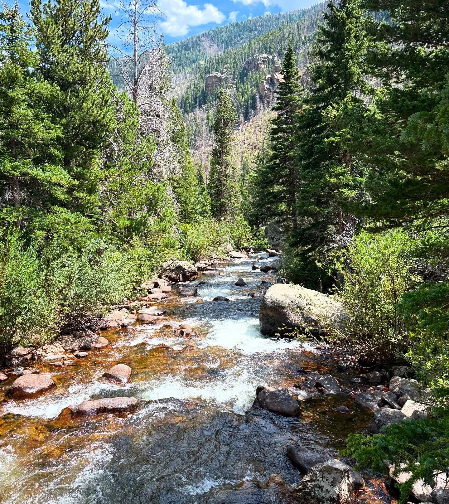 What Is Nature-Based Therapy? 