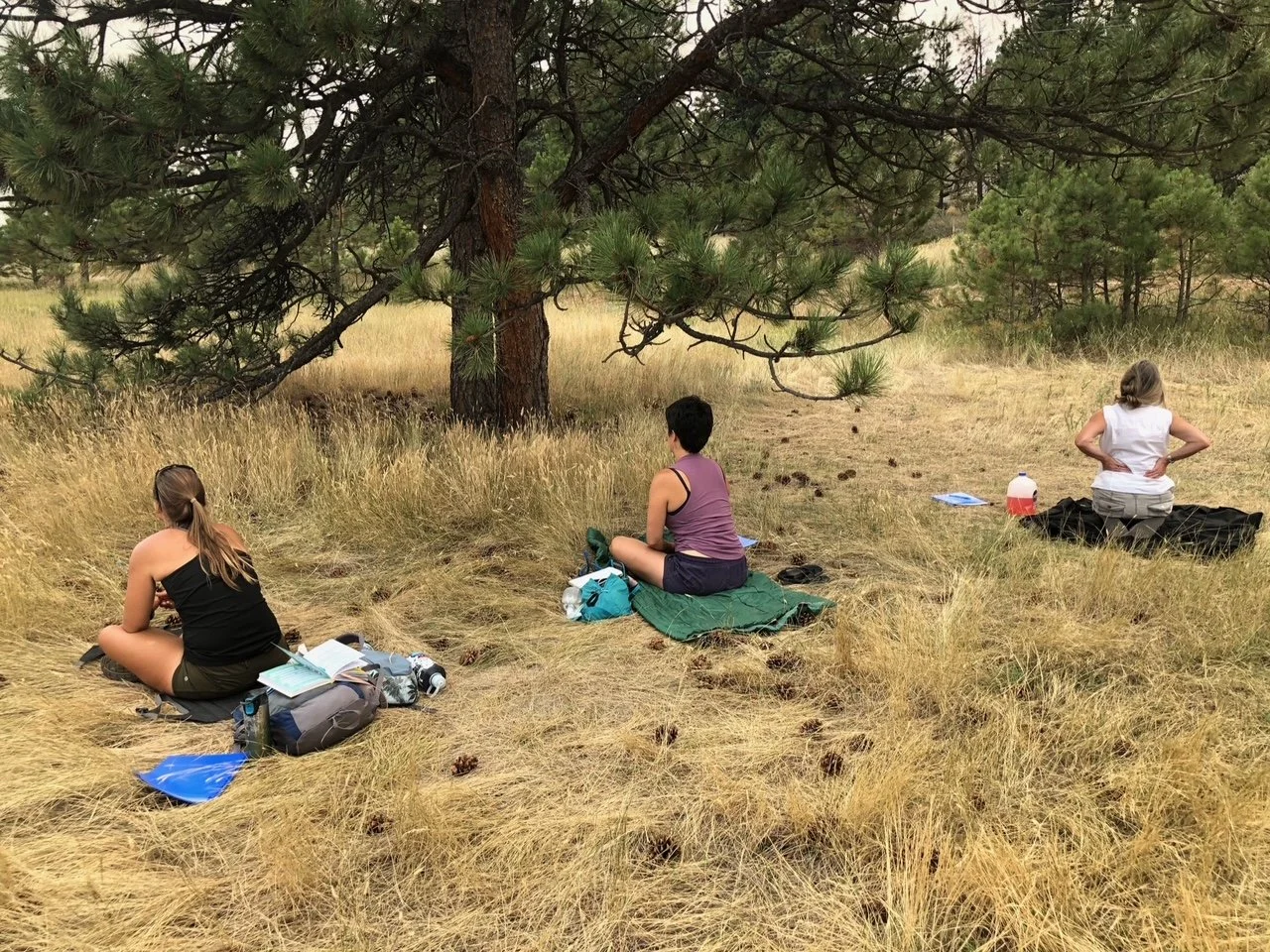 Three Ways Nature Therapy Helps Your Mental Health