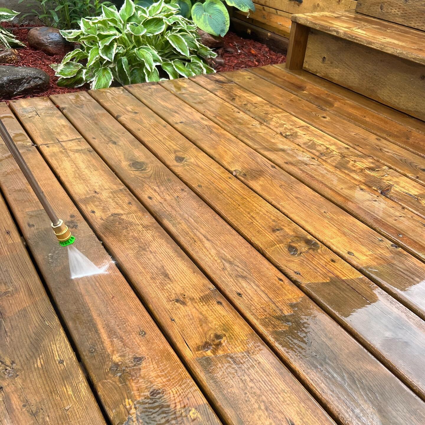 Is there anything more satisfying than power washing? 💦 🤔

#powerwashing #sosatisfying #asmr #entrepreneur #powerwashingservices #peterboroughon #ptbo #oshawa #whtitby #ajax #pickering #kawarthalakes #cobourg #belleville #millbrook #lakefield #enni