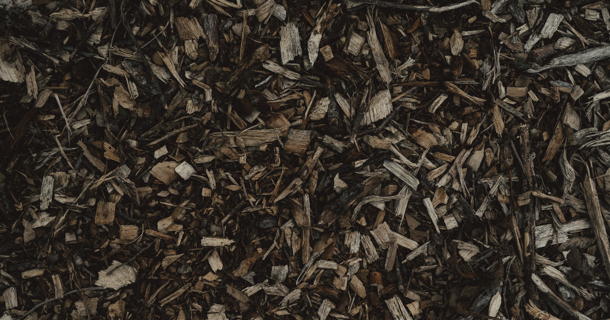 Fresh Mulch Installation: The Simple Landscaping Upgrade That Transforms Your Yard