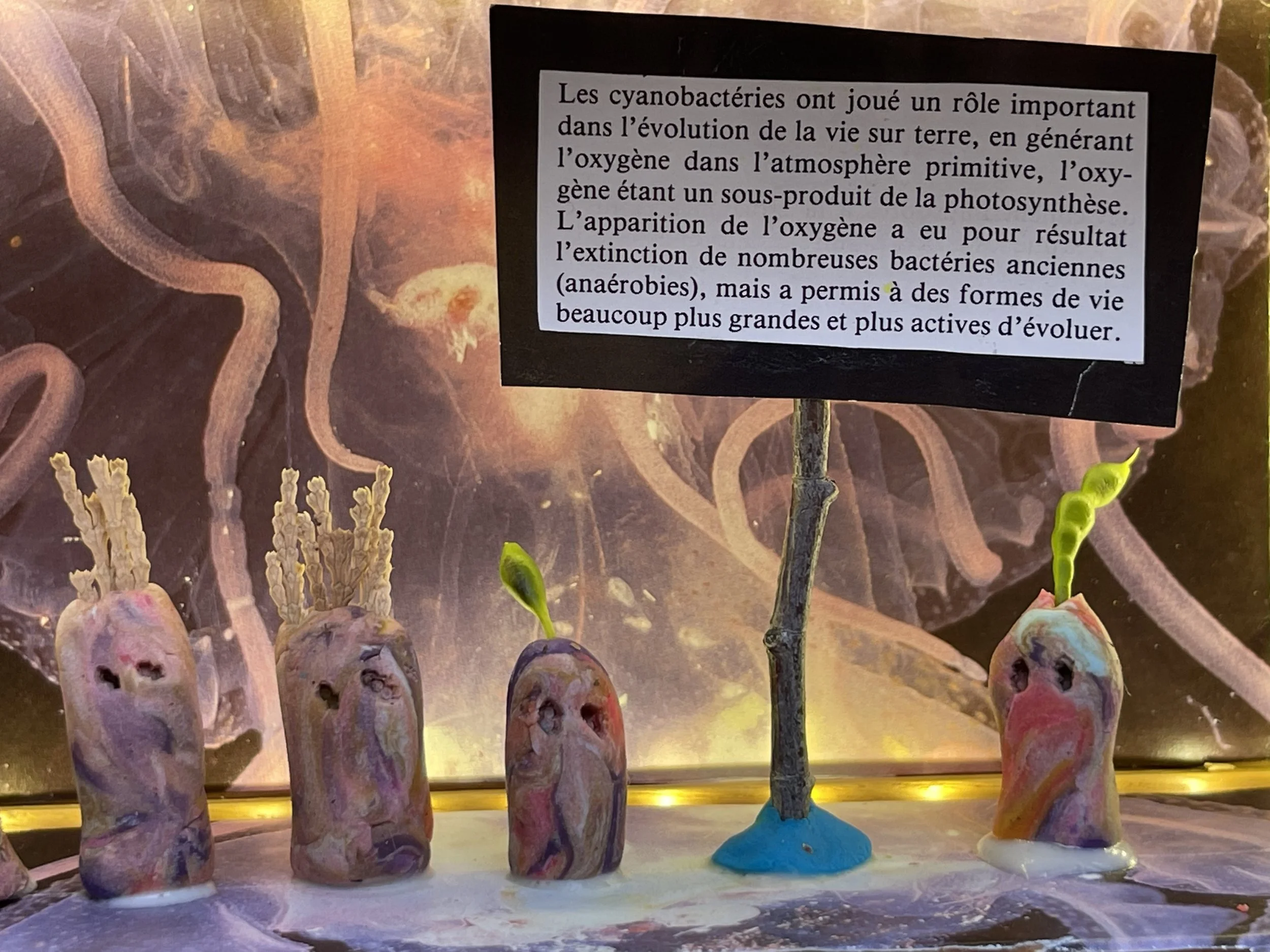 IMG_9911 Kopie 2.jpg