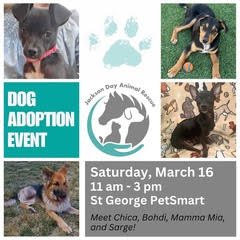 Dog Adoption Event
