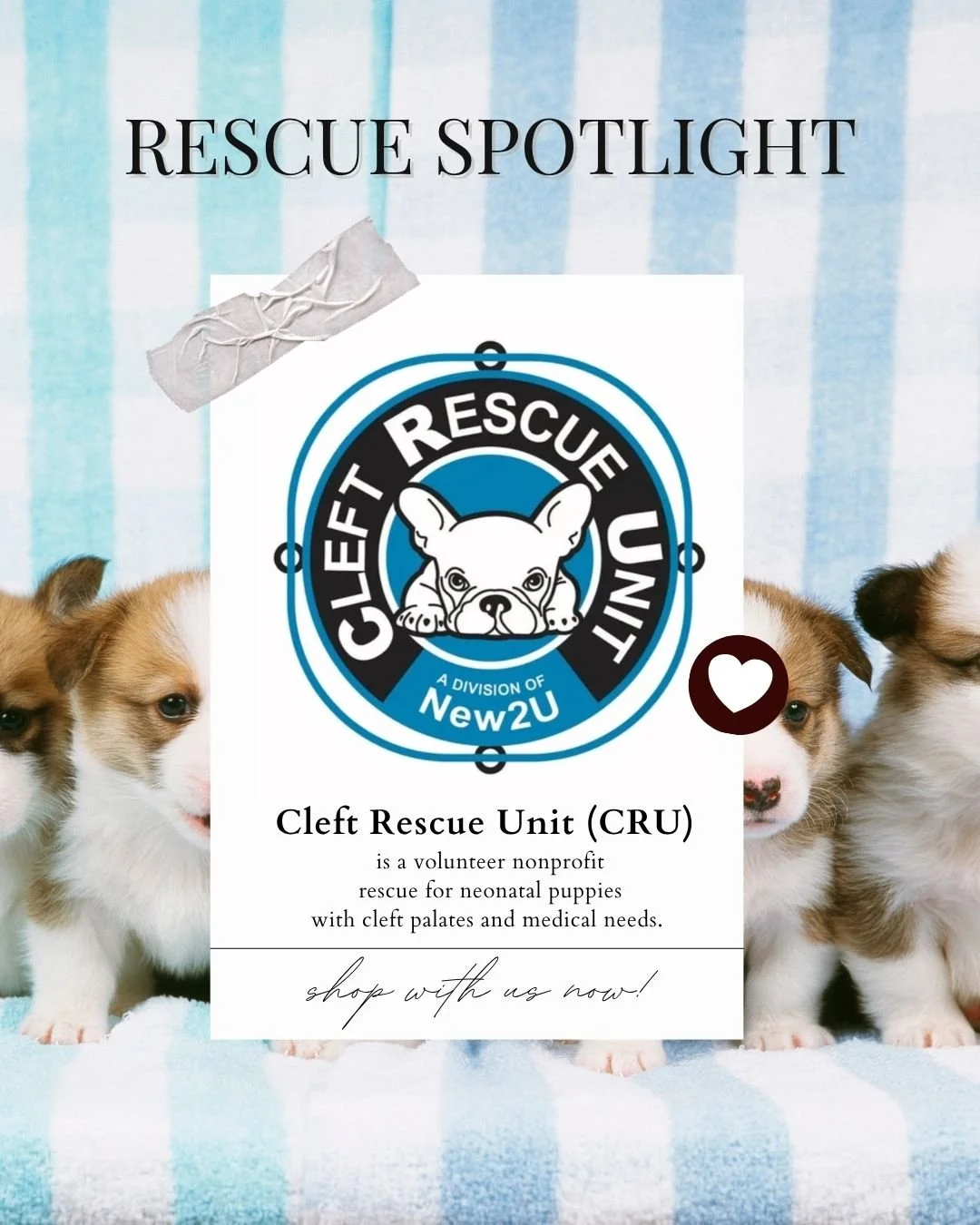 Cleft Rescue Unit