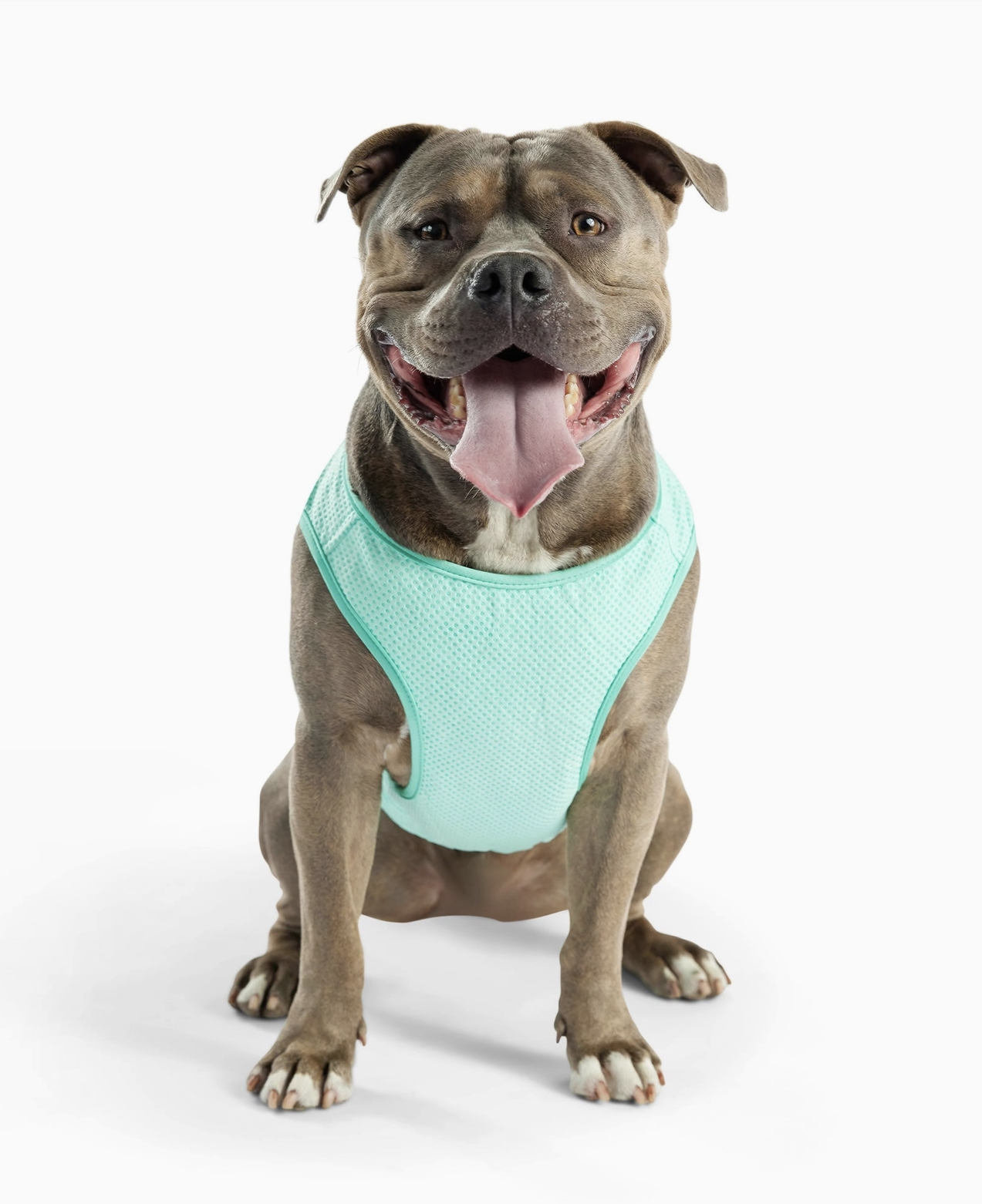 Vest3.png