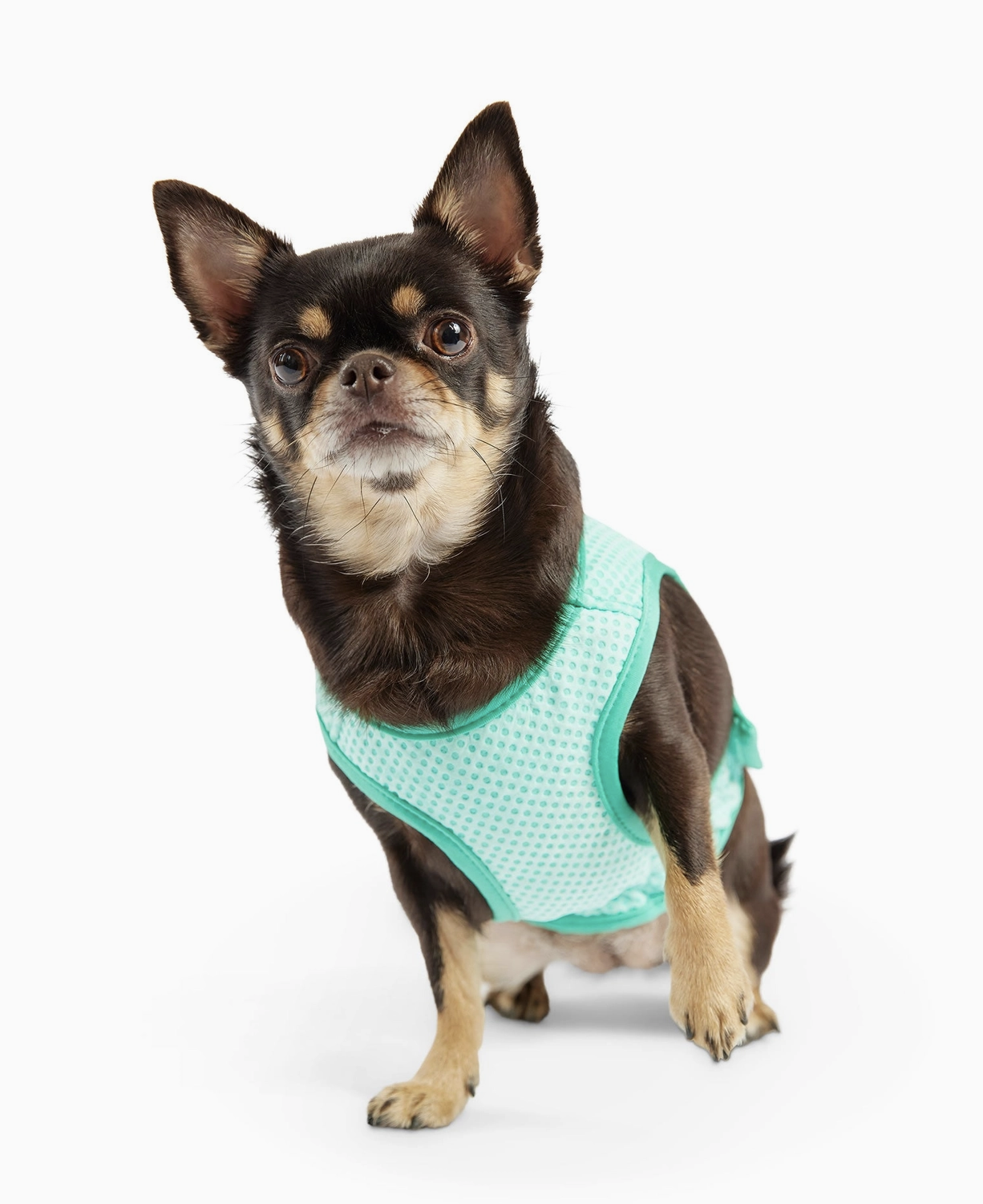 Vest2.png
