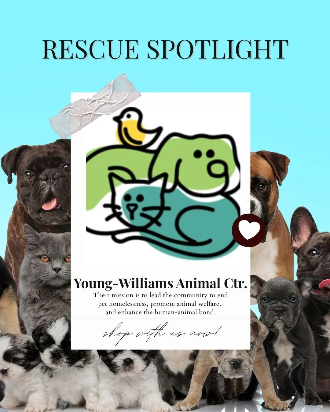 A flyer for Young-Williams Animal Center titled 'Rescue Spotlight' with a background of various puppy and kitten photos, and a cartoon drawing of a dog, cat, bird, and turtle.