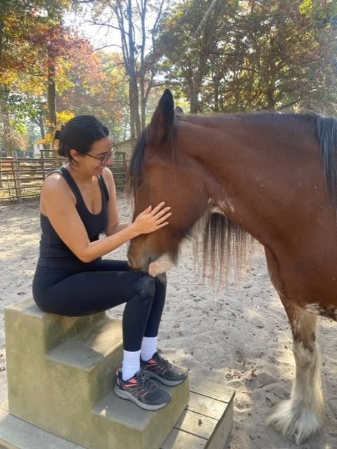 Horses To Heal