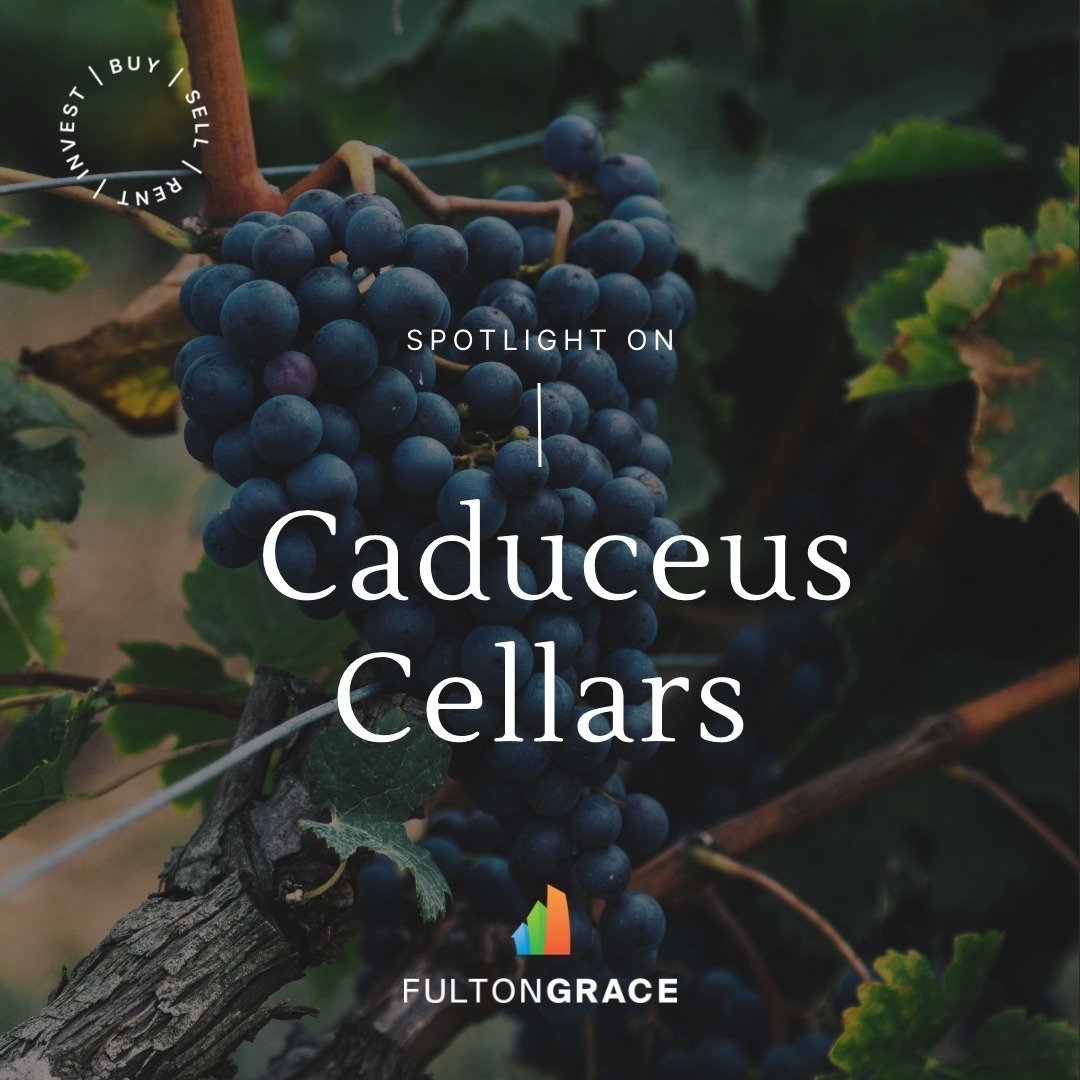 I may go a bit too often, twice last week 🙃 And squeezed in Sessanta 🎼two nights in a row. Blame it on the out of town guests 😉 or the killer wine 🍷
#jcorealtor 
#caduceuscellars 
#sessanta 
#primussucks 
#cottonwood 
#jerome 
#puscifer 
#merkinv