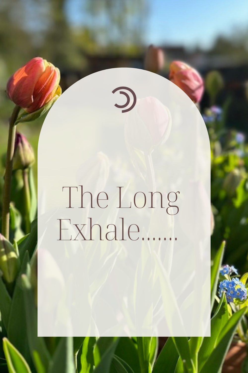 The Long Exhale…finding a state of calm through the Vagus nerve