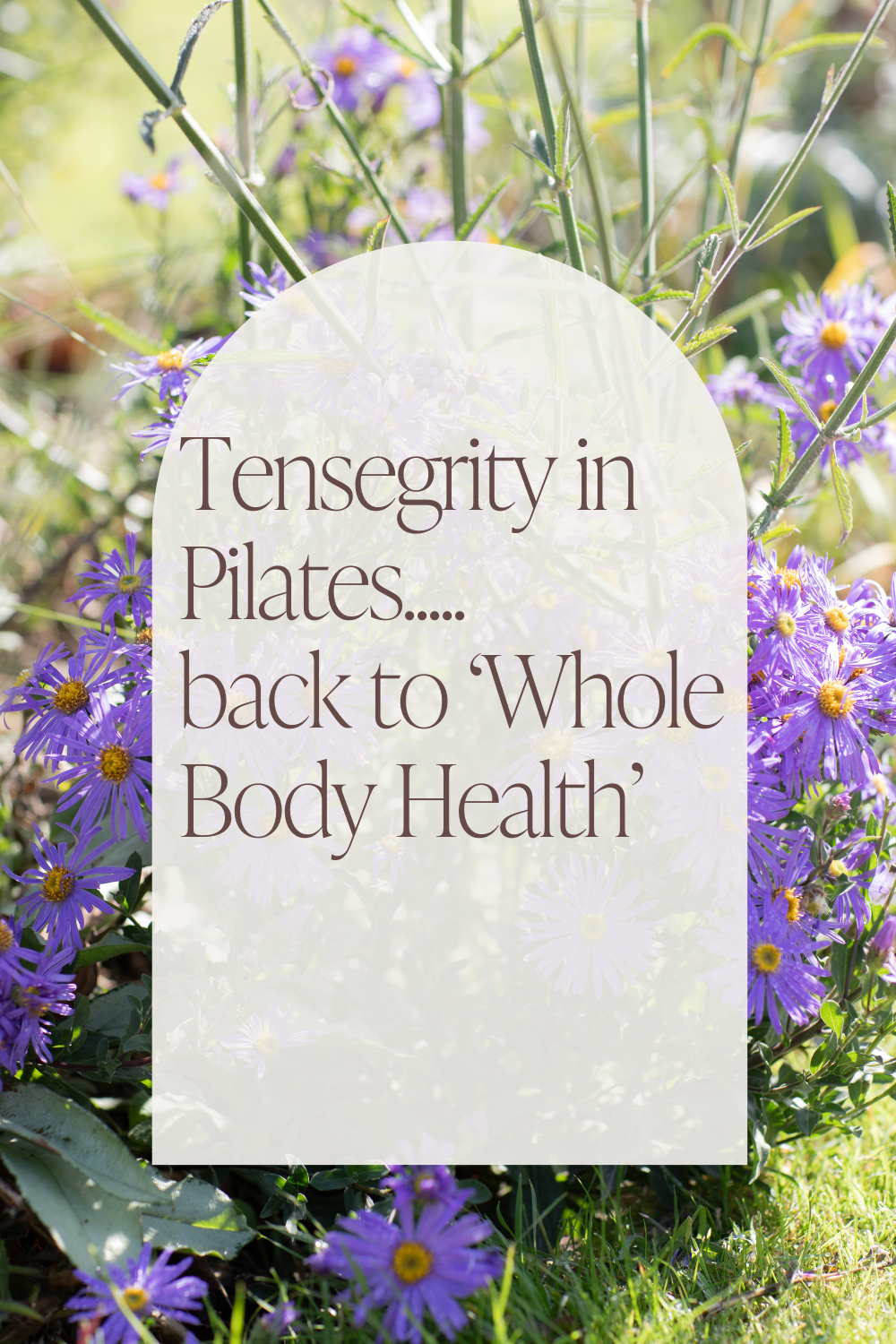 Tensegrity in Pilates – back to ‘Whole Body Health’