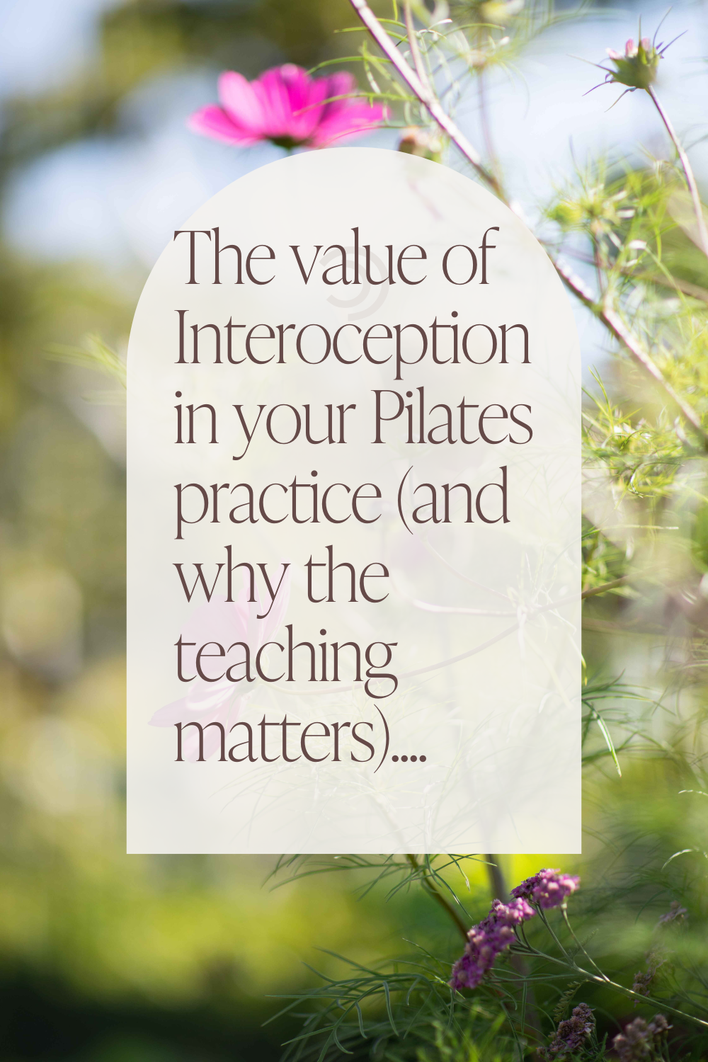 The value of Interoception in your Pilates practice - (and why the teaching matters)