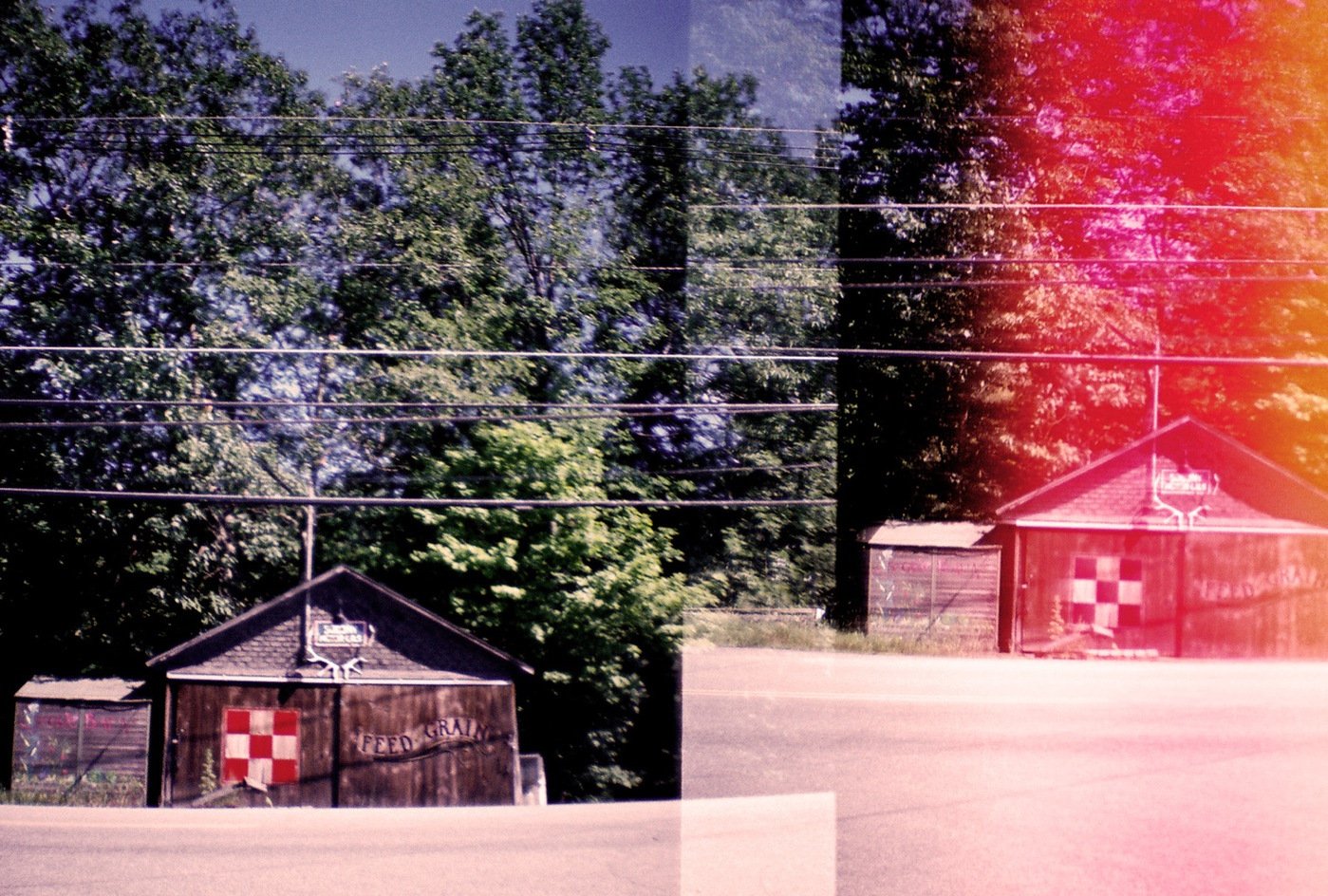 Expired colored 35mm
Diana Mini
Northeast Kingdom, Vermont