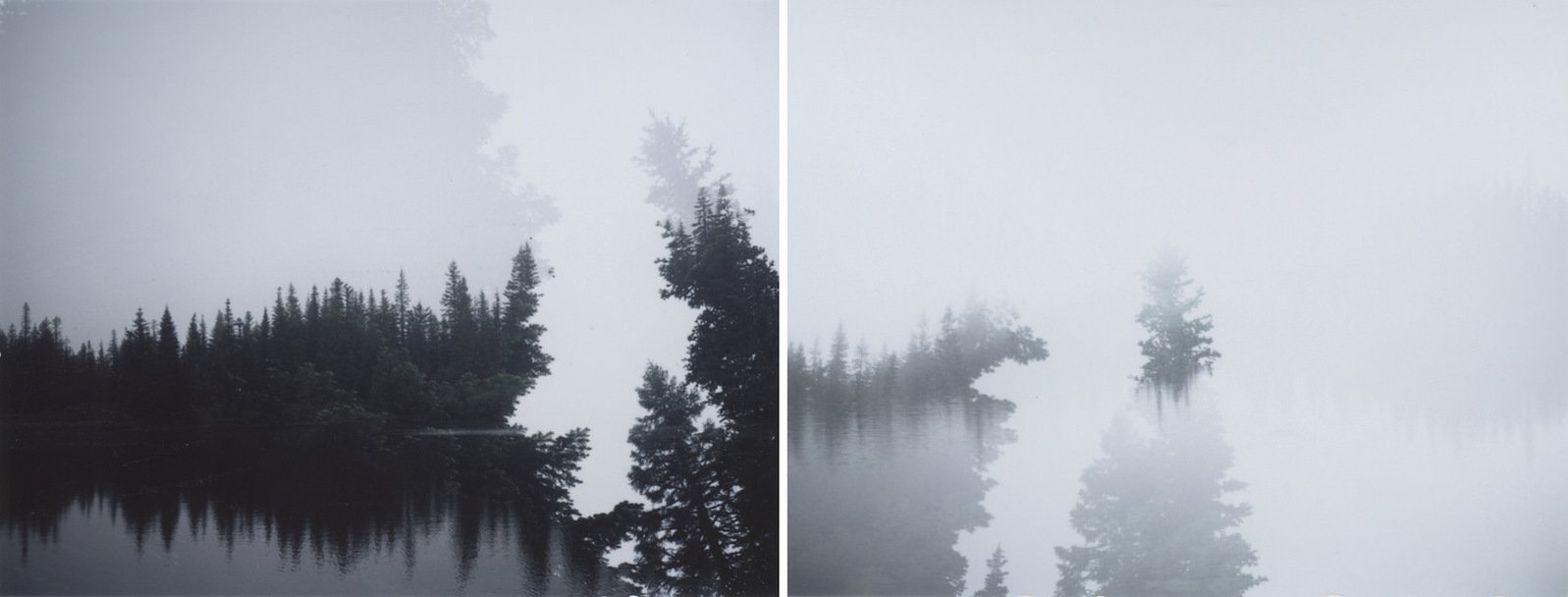 Fuji Fp-100c pack film
Land camera
Mirror Lake, Mt Hood National Forest, Washington
Diptych, Multiple exposures