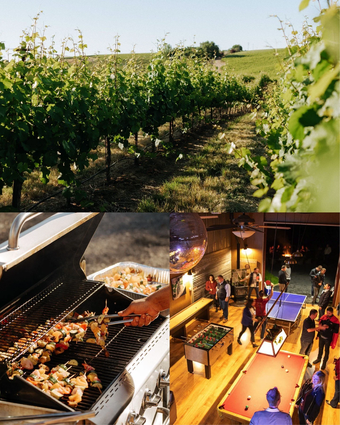 Yurts. Vineyards. Chef-prepared menus. Sunset views.🍷🌇🥂
Our all-inclusive annual spring wine retreat returns April 10-12. Learn more and reserve your spot on our website.📅