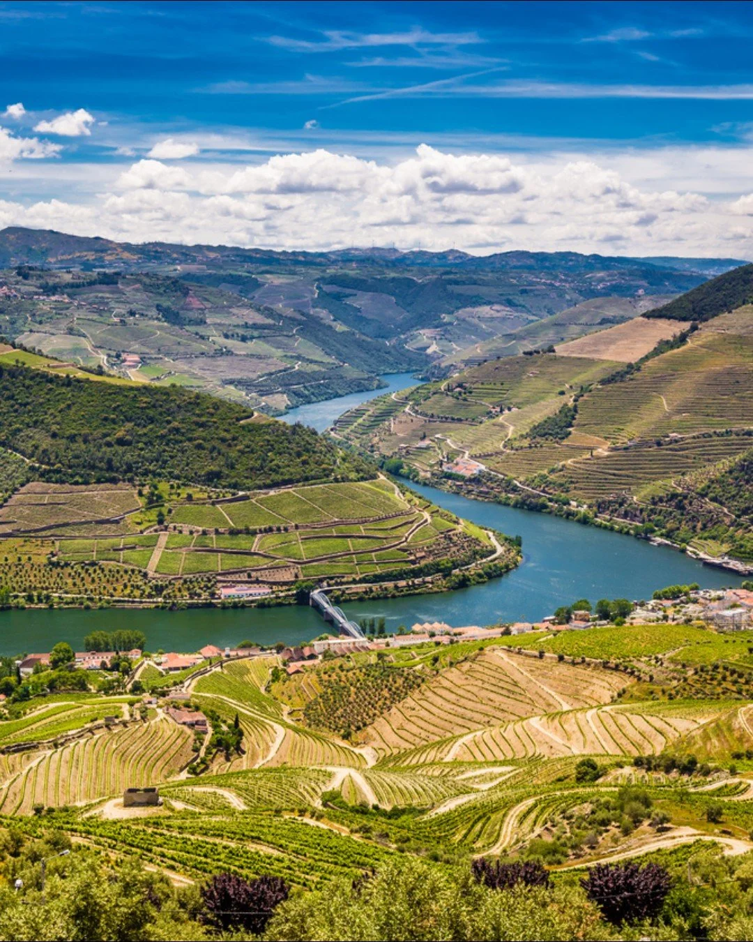 Embark on an unforgettable journey with Browne🍷🛥️🍇 Immerse yourself in the amazing wines, flavorful cuisine, rich cultural heritage, baroque architecture, and dramatic views found in Northern Portugal. 

📅October 9 - 16, 2026

Learn more on our w