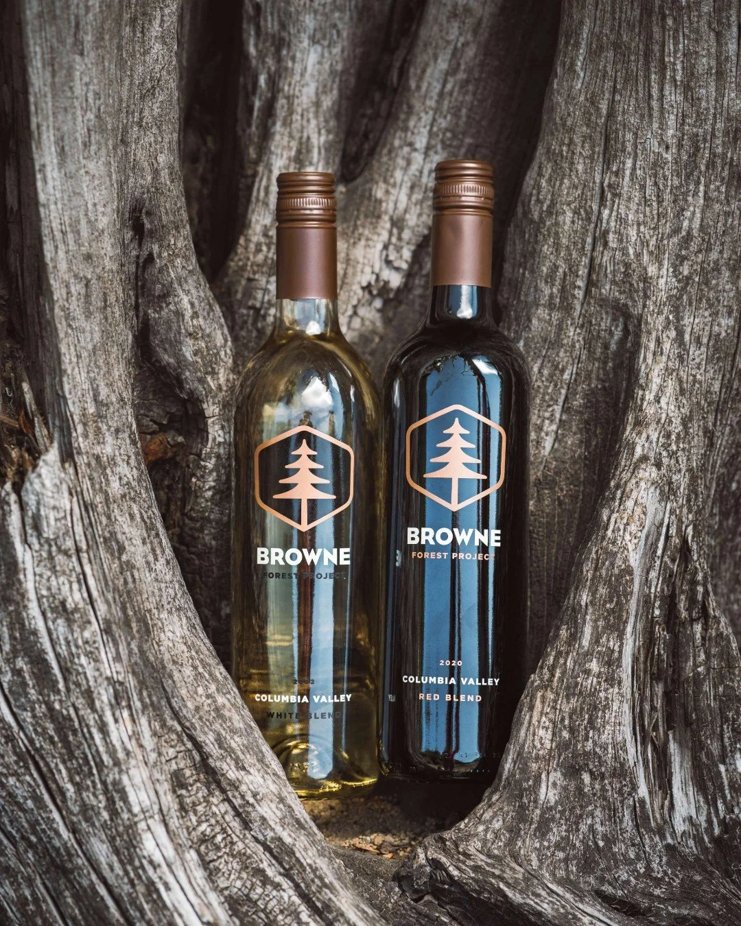 World Environment Day deserves celebration!🌲🍷 Alongside our partners at One Tree Planted, we&rsquo;ve planted over 375,000 trees and saved over 2.2 million paper labels through our label-free Forest Project bottles.