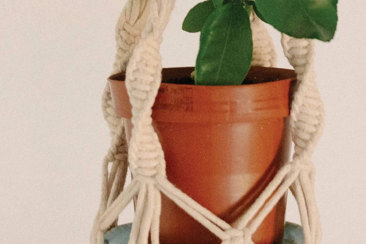 Macramé Workshop