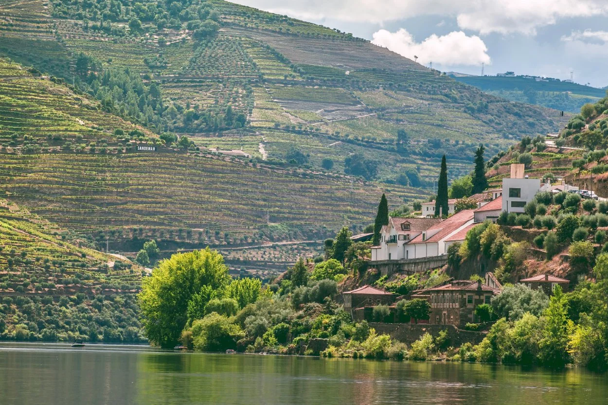 Douro Valley River Cruise with Browne Family