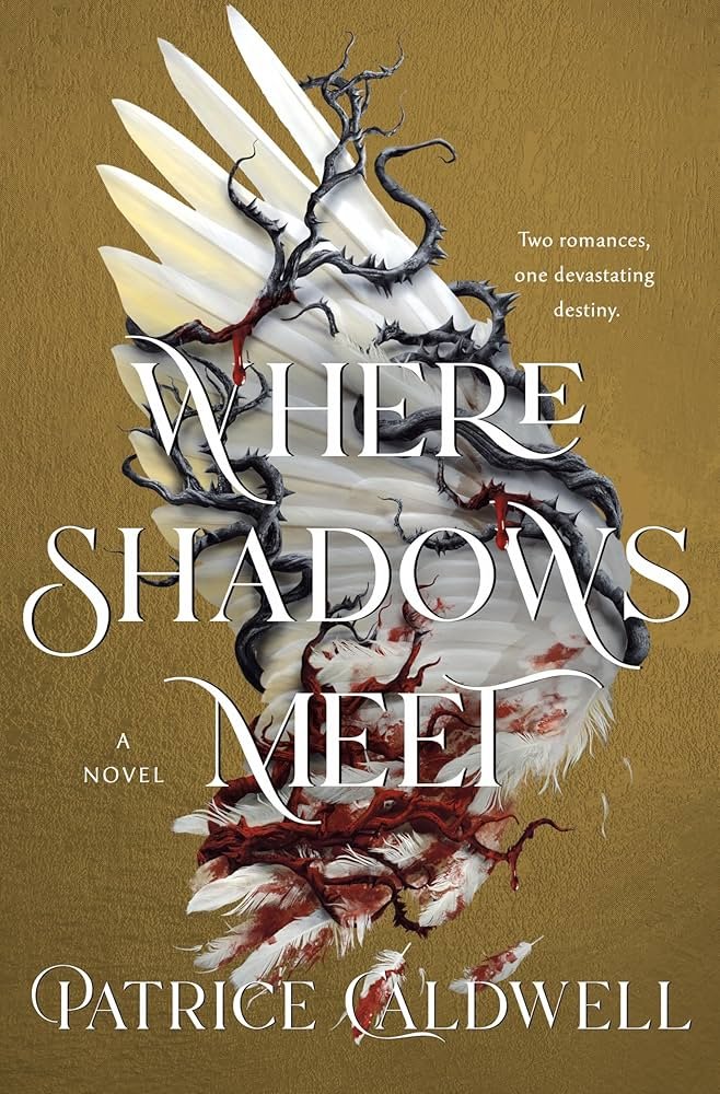 Where Shadows Meet